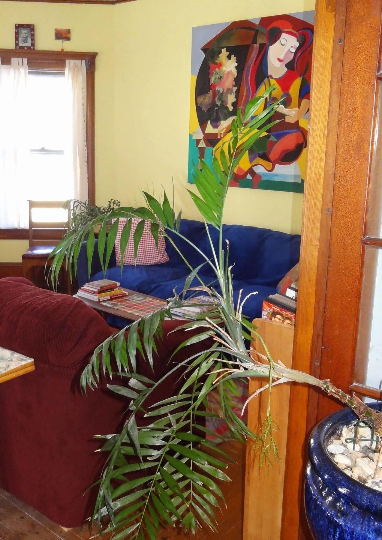 The One Cat Bed & Breakfast Brattleboro Bagian luar foto