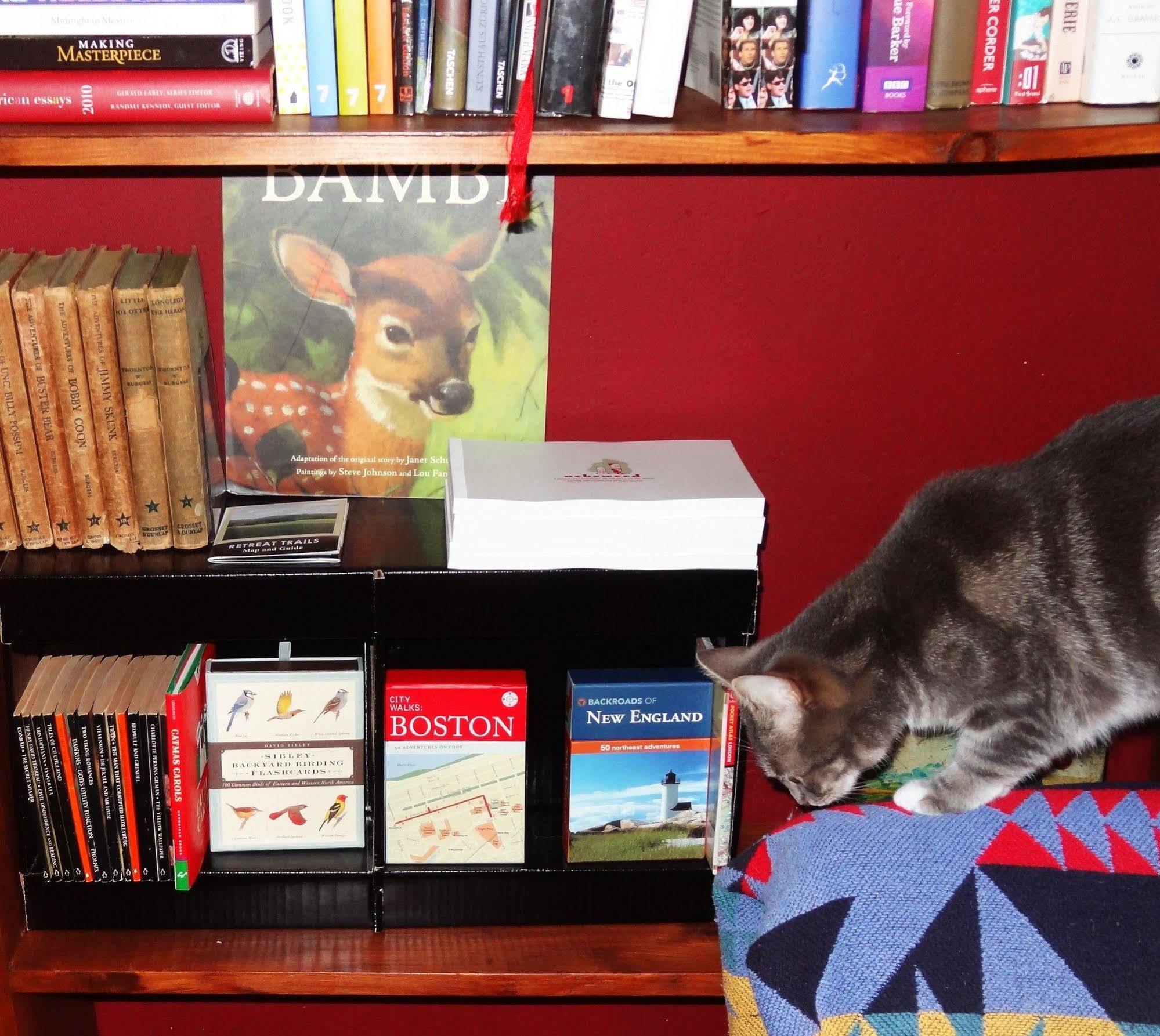 The One Cat Bed & Breakfast Brattleboro Bagian luar foto